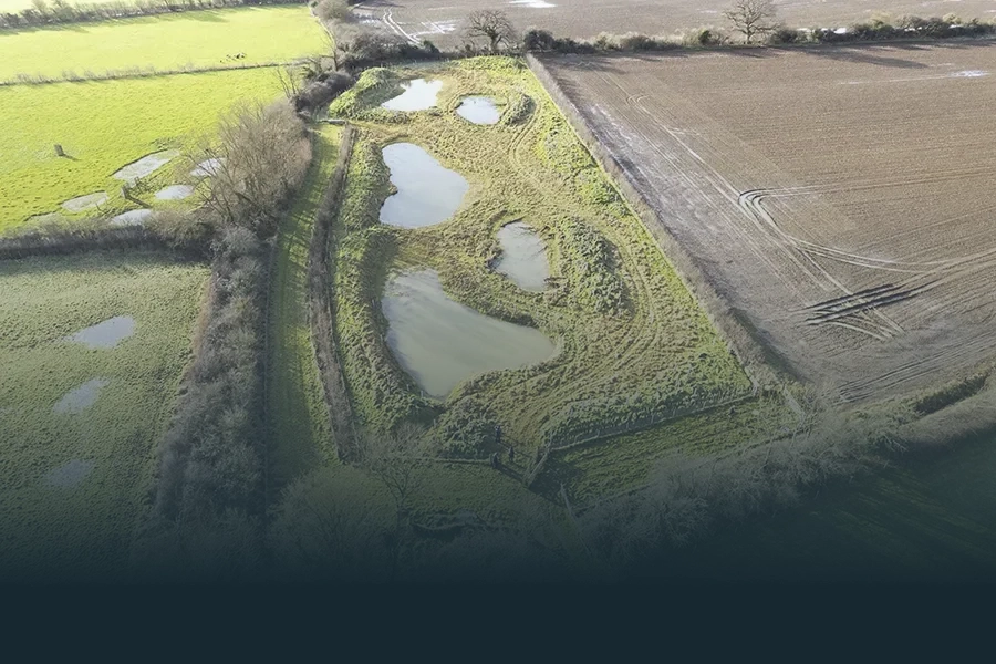 Aerial view of a field